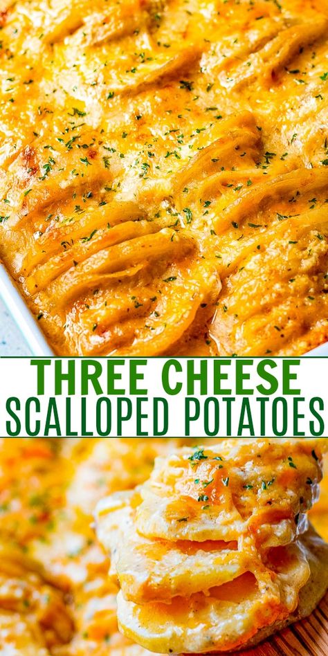 Scalloped Potatoes With Cheese, Potatoes Scalloped, Baked Scalloped Potatoes, Potatoes With Cheese, Cheese Scalloped Potatoes, Cheesy Scalloped Potatoes Recipe, Perfect Mashed Potatoes, Averie Cooks, Holiday Side Dish