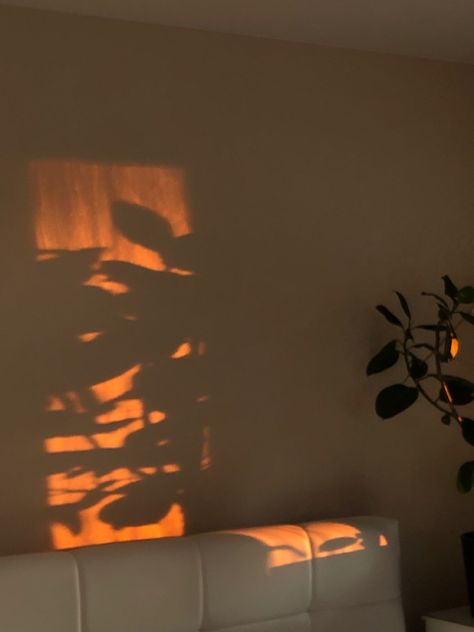 Sunlit Room Aesthetic, Sun Lamp Aesthetic, Sunset Room Aesthetic, Kat Tsai, Flat Aesthetic, Room Sunset, Cozy Bedroom Lighting, Sunset Lighting, Apartment Lighting