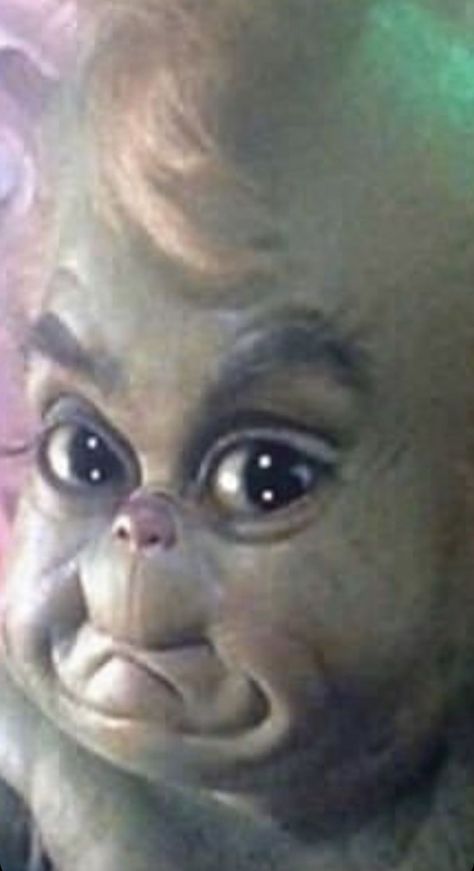 Baby Grinch, Grinch