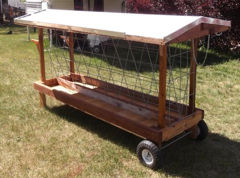 mobile outdoor hay manger for goats. Goat Feeders, Sheep Feeders, Goat Hay Feeder, Ag Mechanics, Cattle Feeder, Mini Donkeys, Goat Feeder, Goat Playground, Keeping Goats