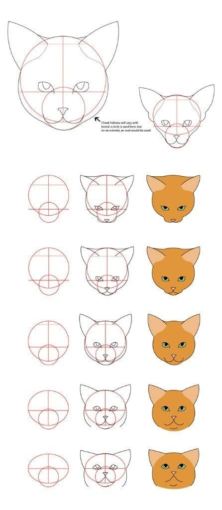 Cat Face Drawing, Dog Drawing Tutorial, Draw Cats, Cat Drawing Tutorial, Cats Art Drawing, Cat Anatomy, Drawing Tutorial Face, Cat Tutorial, Cat Sculpture