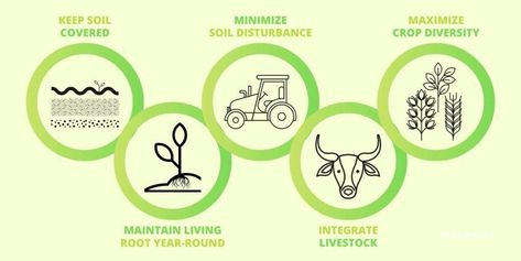 Regenerative Agriculture: What It Means and How to Apply It to Our Home Gardens - Garden Notes - ANR Blogs Regenerative Agriculture Design, Carbon Footprint Calculator, Agricultural Education, Nutrient Cycle, Agriculture Design, Garden Notes, Community Farm, Soil Conservation, Carbon Sequestration