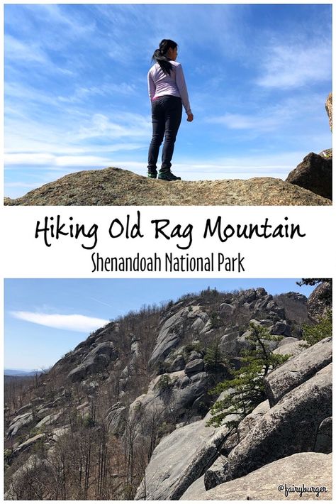 Go for a hiking adventure up Old Rag Mountain located over in Shenandoah National Park in Virginia! #oldrag #oldragmountain #shenandoahnationalpark #shenandoah #nationalpark #findyourpark #hiking Travel Tuesday, Madison County, Shenandoah National Park, Hiking Adventure, Blue Ridge Mountains, Usa Travel, Amazing Adventures, Blue Ridge, Travel Usa