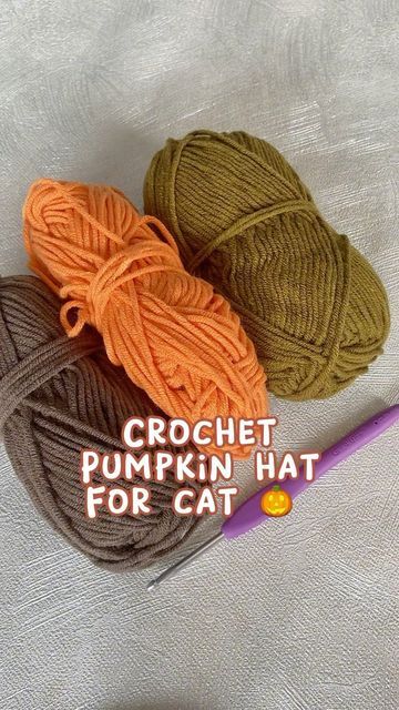 Cat Hat Crochet, Hat For Cat, Crochet Pumpkin Hat, Strawberry Hat, Crochet Cat Hat, Pumpkin Cat, Spooky Fall, Pumpkin Hat, Please Stay