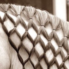 Horses with long manes need special care and special braids for shows. Description from uk.pinterest.com. I searched for this on bing.com/images Mane Braids, Horse Mane Braids, Horse Hair Braiding, Horse Braiding, Foto Cowgirl, Tail Braids, Horse Mane, Horse Costumes, Horse Tail