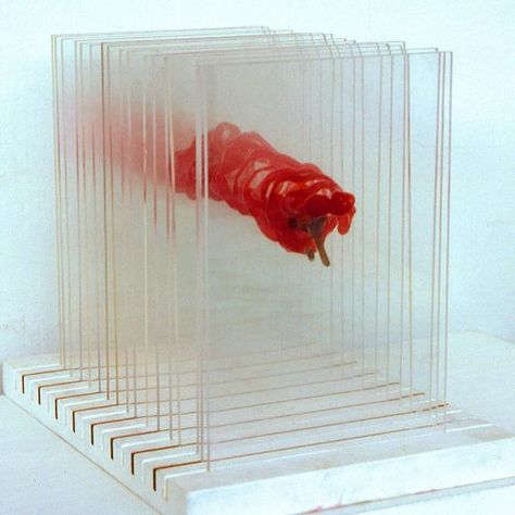 Paper Art Installation, Transparent Art, Layered Art, Exhibition Stand Design, Plastic Art, Acrylic Artwork, Sculpture Installation, Op Art, Red Pepper