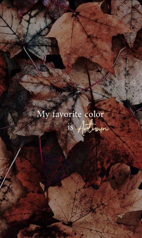 October Quotes, Autumn Girl, Fall Mood Board, Autumn Magic, Fall Background, Autumn Quotes, My Favorite Color, Autumn Scenery, Fall Feels