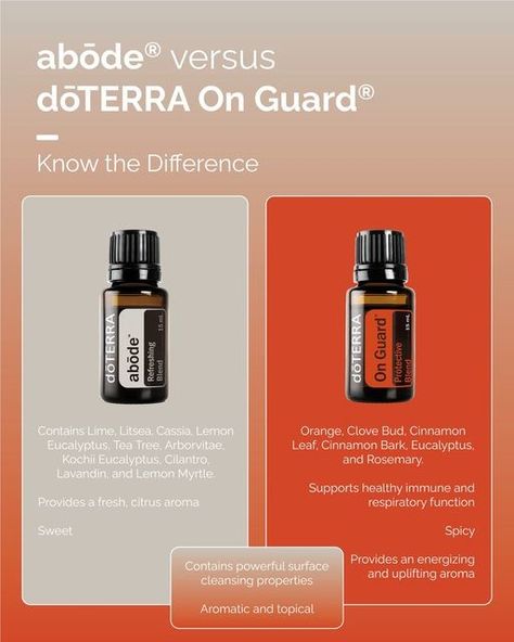 Abode Doterra, On Guard Essential Oil, Doterra Business, Homemade Essential Oil, Clove Bud, Cinnamon Bark, Lemon Myrtle, Spring Cleaning Checklist, Cleaning Schedule