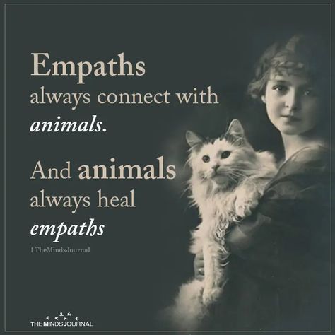 Empaths always connect with animals. And animals always heal empaths Empath Traits, Empath Abilities, Intuitive Empath, Sensitive People, Highly Sensitive, Empath, Infj, A Cat, Life Lessons