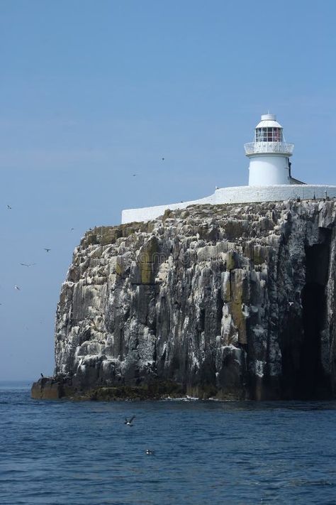 Farne Lighthouse, Inner Farne, Farne Islands stock images England Tourism, Free Vector Patterns, Farne Islands, Northumberland Coast, Short Break, Where To Go, Day Trip, Day Trips, Free Stock Photos