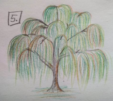 willow tree, vrba, draw, kreslená The Giving Tree Drawing, Easy Willow Tree Drawing, Easy Tree Sketch, How To Draw A Willow Tree, Tree Ideas Drawing, Weeping Willow Tree Drawing, Willow Tree Sketch, Old Tree Drawing, How To Draw A Tree