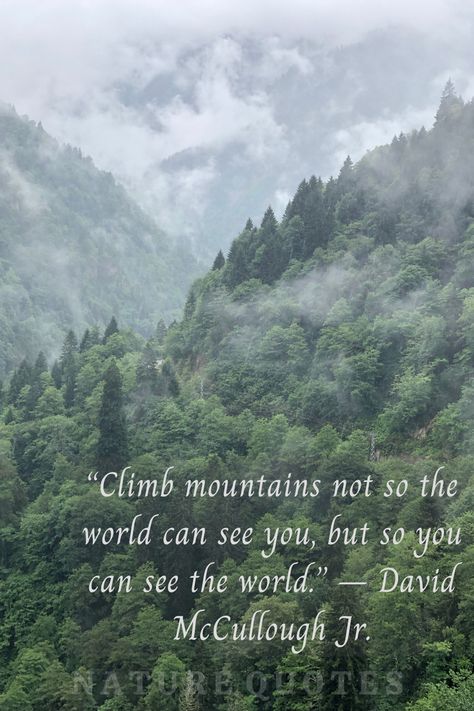 Climb The Mountain So You Can See, Climb Mountains Quote, Moving Mountains Quotes, Study Widget, Foggy Sky, 2024 Manifestations, Walking Quotes, Lake Quotes, Nature Quote