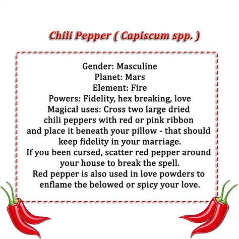 Chili Pepper Magical Properties, Red Pepper Magical Properties, Red Pepper Flakes Magical Properties, Pepper Spiritual Meaning, Cayenne Pepper Magical Properties, Baneful Herbs, Grimoire Inspiration, Hearth Witch, Night Creatures