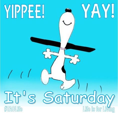 It's Saturday snoopy saturday saturday quotes happy saturday saturday quote quotes for saturday Saturday Quotes Funny, Saturday Memes, Saturday Morning Quotes, Saturday Pictures, Happy Saturday Morning, Saturday Humor, Saturday Greetings, Saturday Images, Saturday Quotes