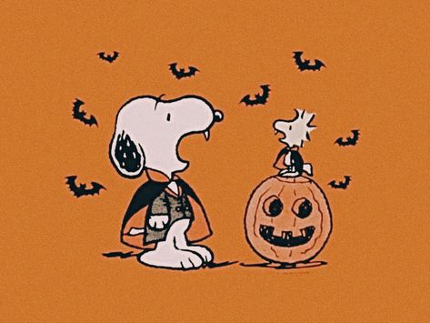 Fall Pfp, Halloween Wallpaper Cute, Wallpaper Cute, Halloween Wallpaper, New Things, Wallpaper Aesthetic, Get Inspired, Snoopy, Halloween