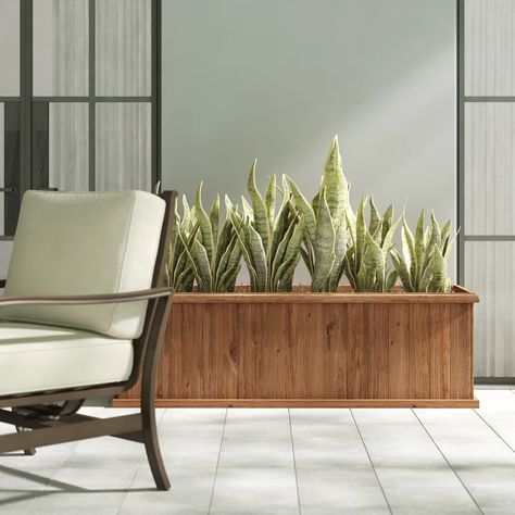 Wayfair.com - Online Home Store for Furniture, Decor, Outdoors & More | Wayfair Outdoor Raised Garden Beds, Outdoor Planter Boxes, Cedar Planter Box, Raised Planter Beds, Cedar Planters, Wooden Planter Boxes, Wood Planter, Wood Planter Box, Wayfair Furniture