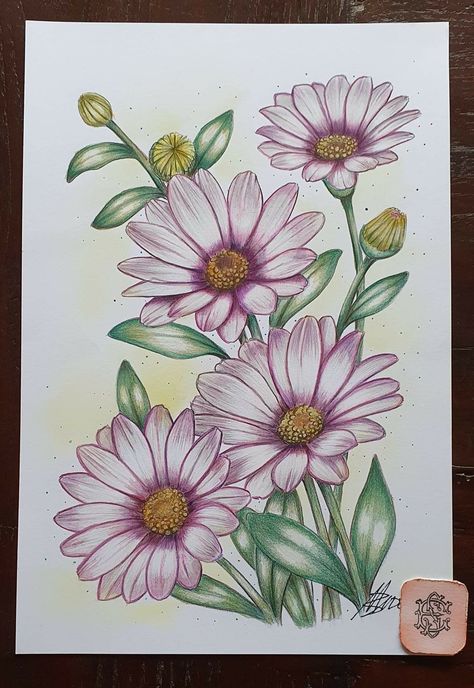 Flower Drawing Colored Pencil, Pencil Colour Drawing Flower, Pencil Flowers, Beginner Photographer, American Traditional Tattoo Ideas, Traditional Tattoo Ideas, Easy Flower Painting, Flower Drawing Tutorials, Colored Pencil Artwork