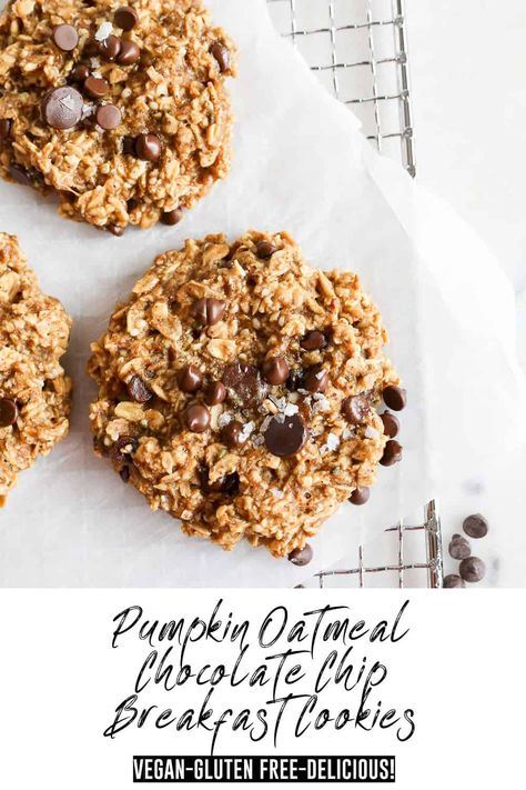 These vegan Pumpkin Oatmeal Chocolate Chip Breakfast Cookies are filled with the goodness of pumpkin, oats, almond butter and chocolate chips. Only needing 8 ingredients and 1 bowl these will be a favorite. Vegan Pumpkin Oatmeal, Chocolate Chip Breakfast Cookies, Pumpkin Oatmeal Chocolate Chip, Chocolate Chip Breakfast, Pumpkin Oatmeal Chocolate Chip Cookies, Pumpkin Oats, Aip Desserts, Honey Cookies, Chocolate Bites