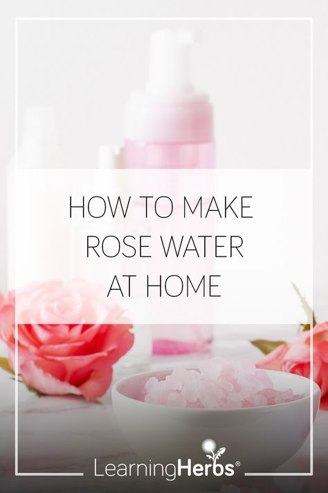 How to Make Rose Water How To Make Rose Water For Face, What Is Rose Water Good For, How To Use Rose Water For Face, How To Make Rose Water, Herbalism Apothecary, Make Rose Water, Making Rose Water, Homemade Rose Water, Rose Water Diy