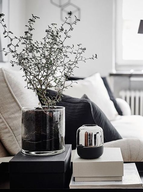 ▿▿▿ Neutral And Black Home Decor, Hipster Decor, Monochrome Living, Monochrome Living Room, Coastal Living Rooms, Minimalism Interior, Décor Diy, A Living Room, Black Decor