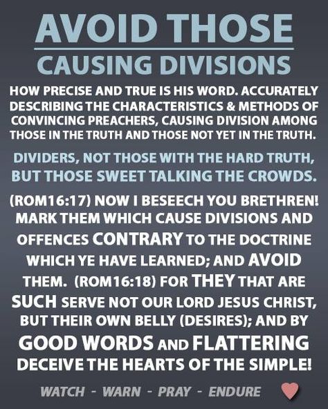 False Prophets Beware Of, False Prophets, New Bible, Seek The Lord, The Cross Of Christ, Bible Prophecy, Hard Truth, Godly Man, Let God