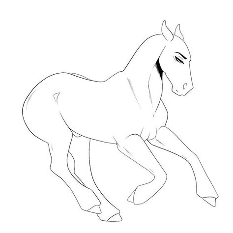 Centaur Base Drawing, Horse Template, Horse Outline, Realistic Animal Drawings, Horse Sketch, Warrior Cats Art, Horse Drawing, Creature Drawings, Horse Drawings