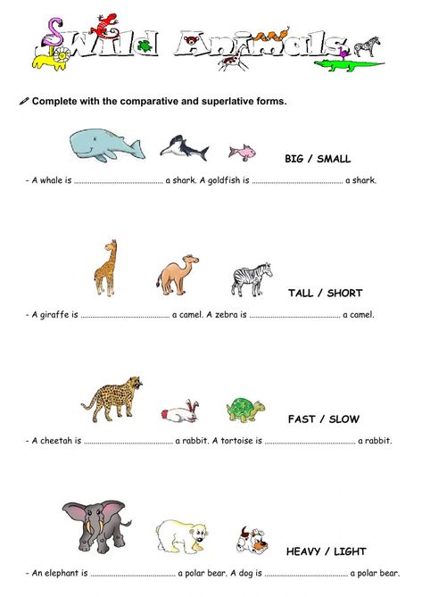 Degrees Of Comparison Activities, Degrees Of Comparison Worksheets, Comparison Worksheet, Degrees Of Comparison, Lkg Worksheets, Sentence Examples, Alphabet Worksheets Preschool, The Worksheet, Worksheets Preschool