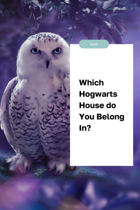 Discover your Hogwarts house with this enchanting quiz! Unveil where you truly belong in the wizarding world. Which Hogwarts House Are You Quiz, What Is Your Hogwarts House, What Is My Hogwarts House Quiz, Which Hogwarts House Quiz, Hogwarts Quizzes, Hogwarts Houses Quiz, Hogwarts Quiz, World Quiz, House Quiz