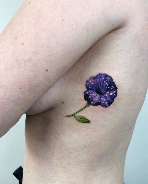 Petunias In Pots, Growing Petunias, Night Sky Petunia, Night Sky Tattoos, Petunia Tattoo, Trailing Petunias, Black Petunias, Wave Petunias, Sky Tattoos