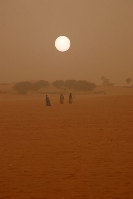 Day 238: Saharan sandstorm, Mauritanian-Western Sahara border Sandstorm Aesthetic, Sahara Photography, Sahara Dessert Photography, Sahara Desert Painting, Desert Sahara, Western Sahara, Desert Aesthetic, Deserts Of The World, Desert Dunes