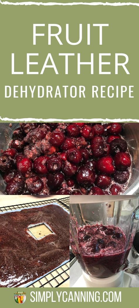 Dehydrating Plums In Dehydrator, Blackberry Fruit Leather Recipe Dehydrator, Fruit Leather From Frozen Fruit, Cherry Fruit Leather Recipe, Fruit Roll Up Recipe Dehydrator, Dehydrator Fruit Leather Recipe, Plum Fruit Leather Recipe, Dehydrated Berries, Strawberry Fruit Leather Recipe