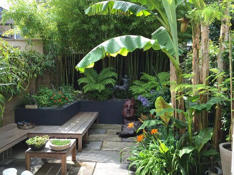 Tropical Garden Ideas, Small Tropical Gardens, Tropical Patio, Bali Garden, Clematis Montana, Tropical Garden Design, Small Courtyard Gardens, Jungle Gardens, Courtyard Gardens Design