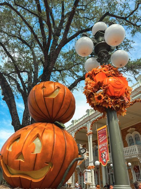 Halloween decorations in Magic Kingdom Halloween Magic Kingdom, Magic Kingdom Halloween, 2024 Board, Pumpkin Spice Season, Halloween Magic, Amusement Parks, Halloween 2024, Autumn Scenery, Disney Aesthetic