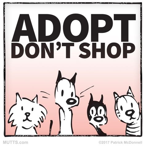 Adopt Dont Shop, Mutts Comics, Animal Advocacy, Animal Protection, Rescue Animals, Puppy Mills, Pet Life, Rescue Dogs, National Day