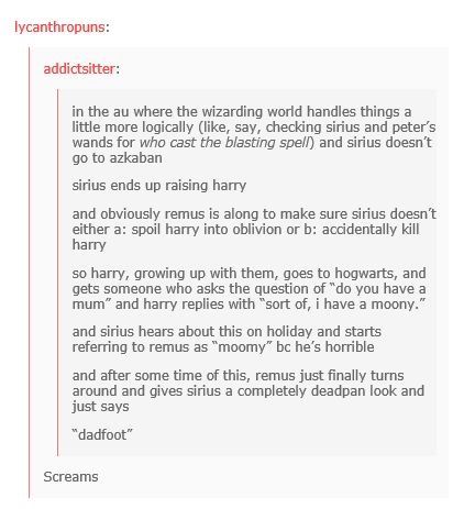 Harry Potter au Hp Headcanon, Sirius And Remus, Scorpius And Rose, Funniest Tumblr Posts, Small Library, Harry Otter, Hp Universe, Harry Draco, Yer A Wizard Harry