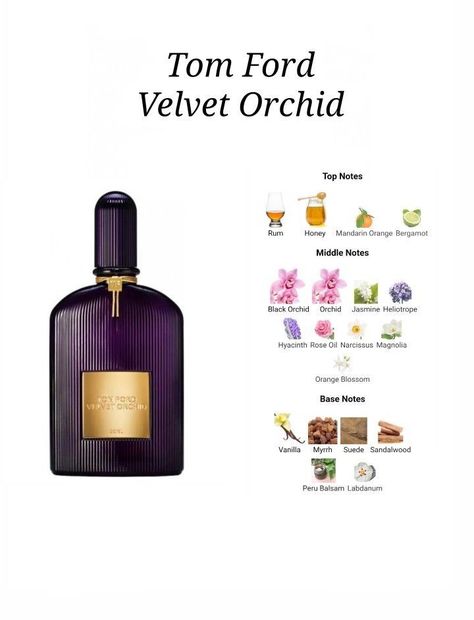 Tom Ford Velvet Orchid. Woman perfume, best scents, floral fragrance #affiliate Tom Ford Velvet Orchid, Best Scents, Tom Ford Perfume, Perfume Recipes, Fragrances Perfume Woman, Perfume Collection Fragrance, Perfume Scents, Perfume Lover, Essential Oil Perfume