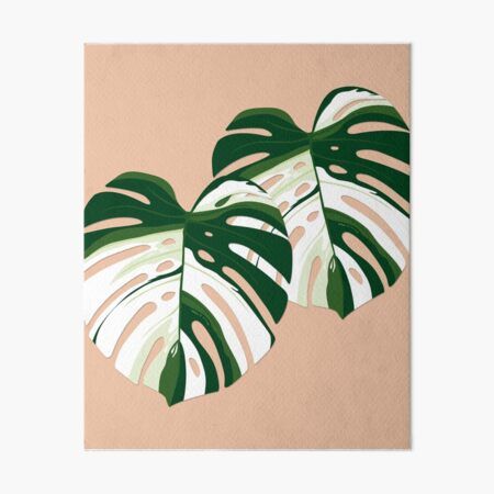 Millions of unique designs by independent artists. Find your thing. Monstera Painting, Canvas Embroidery, Painting Easy, Watercolor Flower Art, Monstera Deliciosa, Watercolor Flower, Hallway Ideas, Craft Art, Diy Arts And Crafts