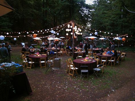 Henry Miller Library, Big Sur Henry Miller Library Wedding, Henry Miller Library, Door Lighting, Forest Enchanted, Wedding Reception Program, Wedding Forest, Intimate Garden, Big Sur Wedding, Library Wedding