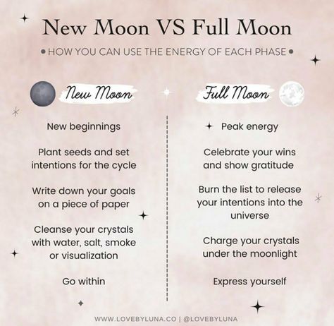 New Moon Vs Full Moon, Full Moon Dos And Donts, What To Do On A Full Moon, New Moon Witchcraft, Full Moon Phase, January Moon, New Moon Full Moon, Moon Activities, Full Moon Phases