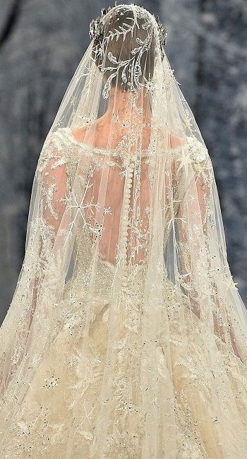 Ziad Nakad Couture, Wedding Dress Sheer, Royal Train, Ziad Nakad, Wedding Inspirasi, Sheer Wedding Dress, Bride Fashion, Snow Crystal, Wedding Scene