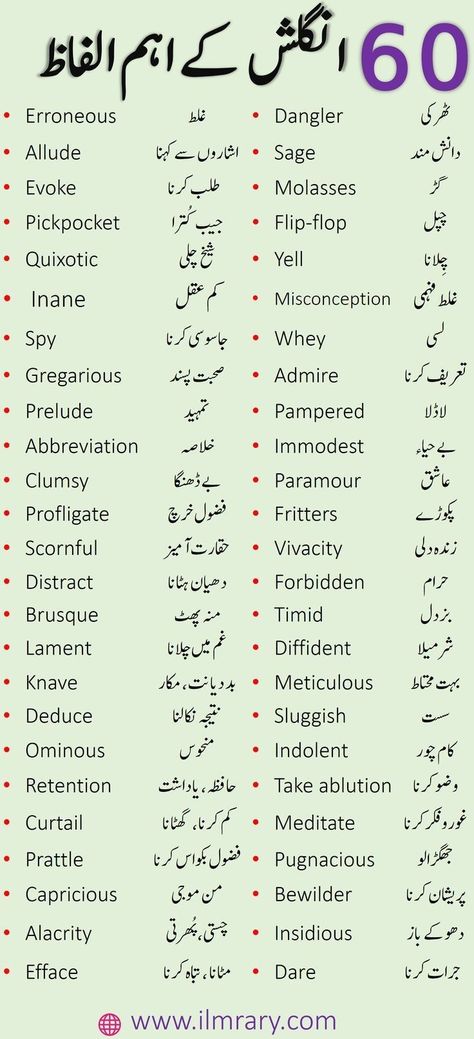 Synonyms With Urdu Meaning, Urdu To English Words, Daily Use Words In English To Urdu, English Urdu Vocabulary, Islamic Vocabulary In English, Daily Use English Words With Meaning, Word Meaning English To Urdu, Words In English With Meaning, Words Meaning In Urdu