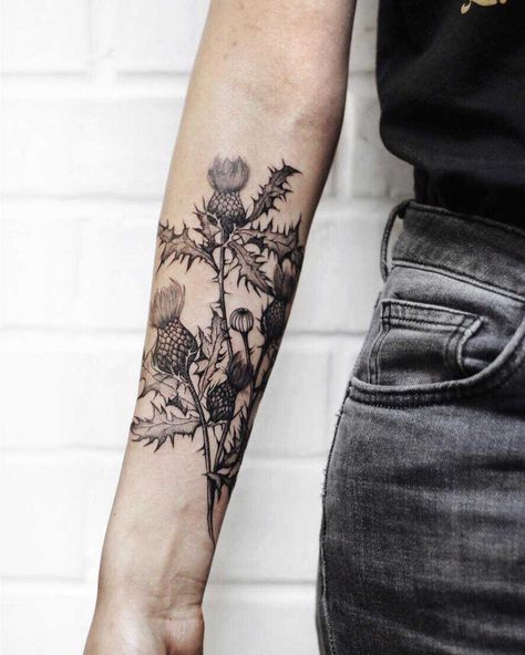 Thistle Tattoo Simple, Mole Tattoo Coverup, Foraging Tattoo, Wolfsbane Tattoo, Meadow Tattoo, Hemlock Tattoo, Thistle Tattoo Black, Earthy Tattoos Nature, Goblincore Tattoo