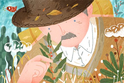 Botanist Illustration, Grandpa Illustration, Illustration Painting, Illustration Character Design, Botany, Figure Drawing, Character Illustration, Picture Book, Painting & Drawing