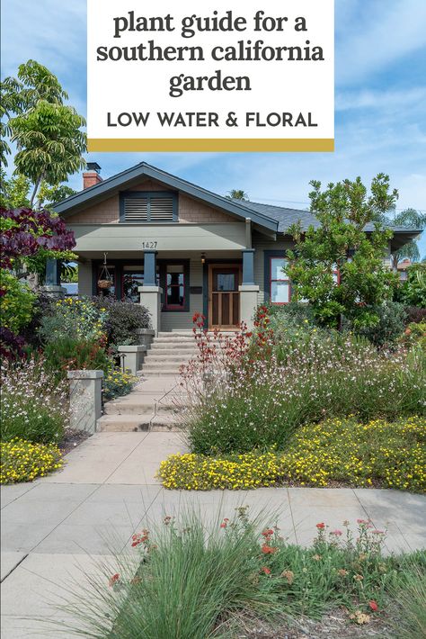 Low Water Front Yard, Southern California Garden, California Native Landscape, Drought Tolerant Landscape Front Yard, California Landscaping, Native Plant Landscape, California Native Garden, California Plants, California Drought