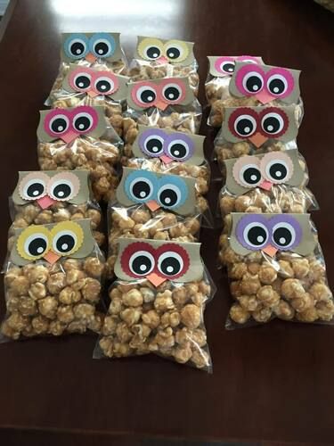 Owl Gifts For Kids, Owl Themed Food, Owl Party Ideas, Owl Birthday Party Ideas, Owl Treat Bags, Owl Snacks, Owl Party Decorations, Owl Party Favors, Owl Themed Birthday Party