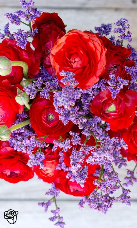 Bouquet Champetre, Red And Purple, Wedding Arrangements, Arte Floral, Red Wedding, Beautiful Bouquet, Purple Wedding, Flowers Nature, Love Flowers