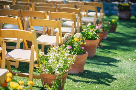 Potted Plants Ceremony Aisle, Wedding With Potted Plants, Flowers In Terracotta Pots Wedding, Wedding Planters Flower Pots, Potted Plant Wedding Aisle, Potted Aisle Flowers, Wedding Aisle Potted Plants, Potted Plants At Wedding, Wedding Potted Flowers