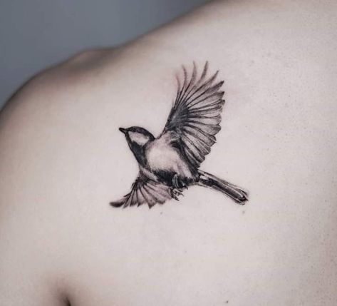 Finch Tattoo, Chickadee Tattoo, Bird Tattoos Arm, Earthy Tattoos, Vogel Tattoo, Ear Tattoo Ideas, Bull Tattoos, Special Tattoos, Angel Tattoo Designs