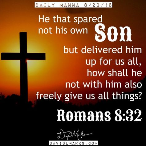 Bible Phrases, Romans 8 32, Podcast Production, Jesus Son, Romans 8, Daily Bible Verse, Daily Bible, Web Designer, Bible Verse