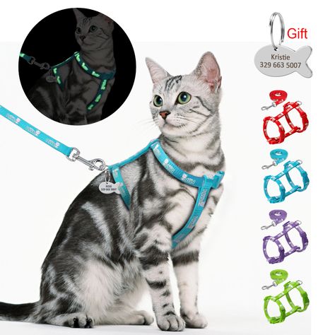 Kitten Harness, Cat Harness And Leash, Harness And Leash Set, Cat Leash, Pet Supplies & Accessories, Dog Vest Harness, Cat Harness, Pet Harness, Skateboarder